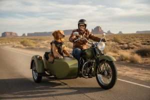 Transport chien sur moto : nos conseils sécurité